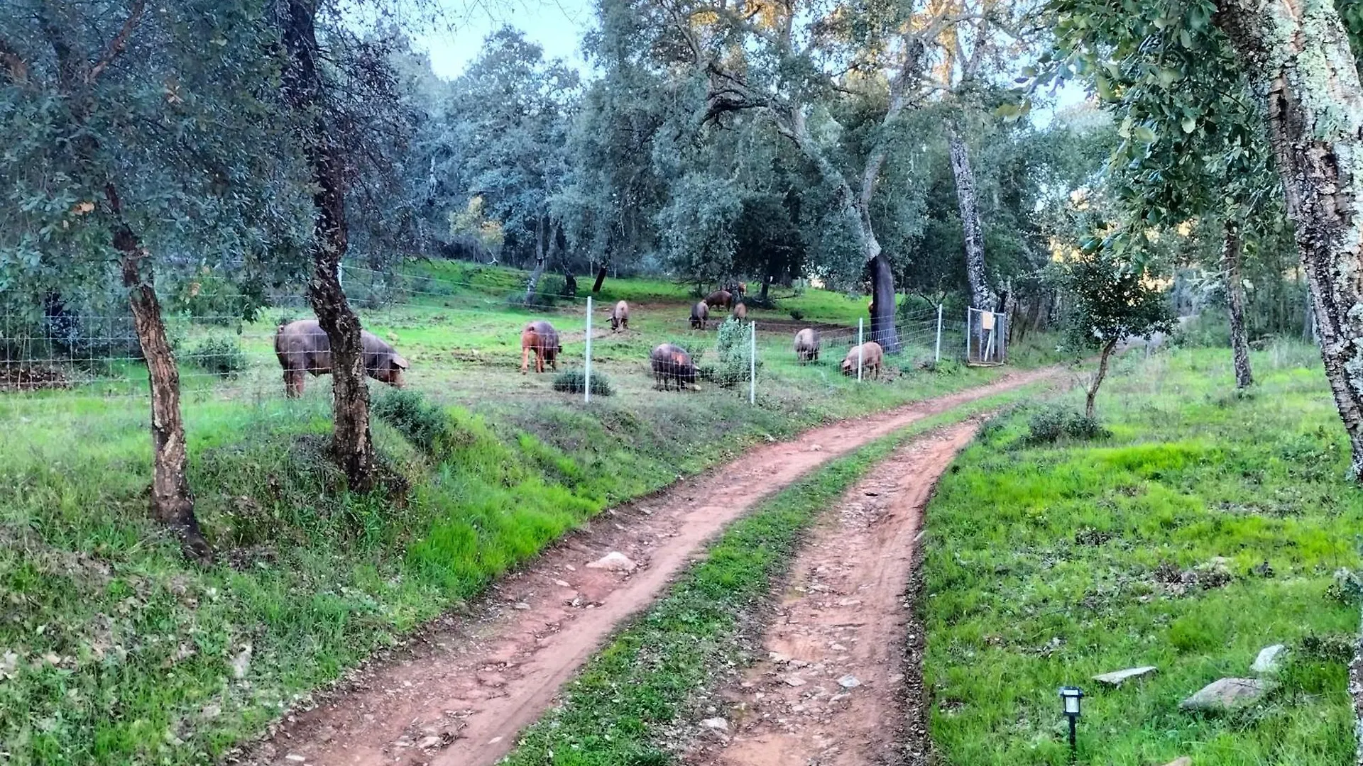 Villa Cortijo Rural El Contador, Con Parque Infantil Constantina 0*,